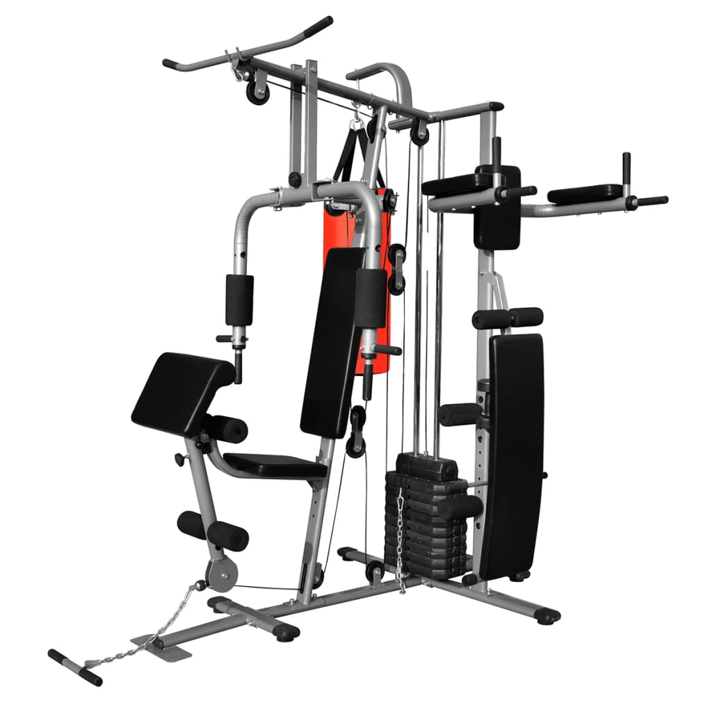 Palestra Multifunzione con 1 Sacco da Pugilato 65 kg