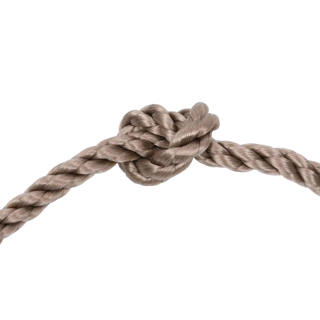Prese da Arrampicata con Fune 25 pz Multicolore