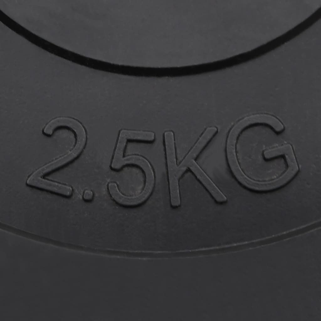 Dischi per Pesi 6 pz 30 kg in Cemento