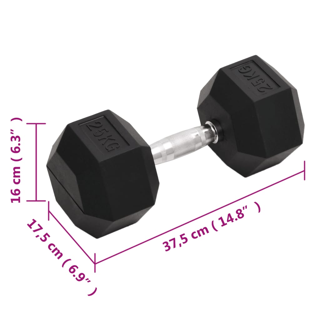 Manubrio 25 kg Ghisa