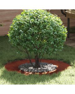 adatto per Anelli d'Albero Piatto 5 pz Ruggine Ø40/70 cm