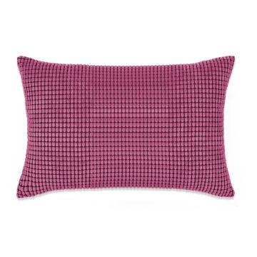 Set di Cuscini 2 pz in Velour 40x60 cm Rosa