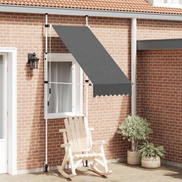 Tenda da Sole Retrattile Manuale 100 cm Antracite
