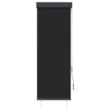Tenda a Rullo per Esterni 60x250 cm Antracite