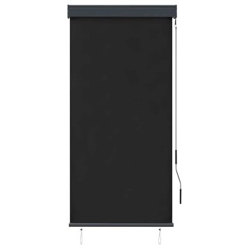 Tenda a Rullo per Esterni 80x250 cm Antracite