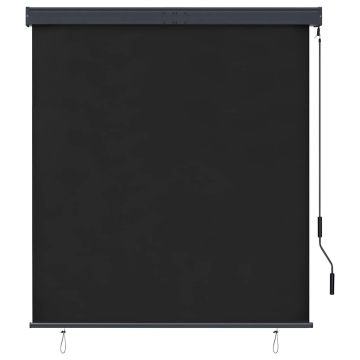 Tenda a Rullo per Esterni 140x250 cm Antracite