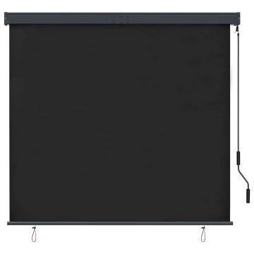 Tenda a Rullo per Esterni 160x250 cm Antracite