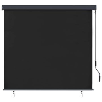 Tenda a Rullo per Esterni 170x250 cm Antracite