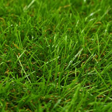 Prato Artificiale 1x10 m/40 mm Verde
