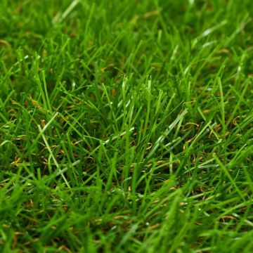 Prato Artificiale 1,5x5 m/40 mm Verde