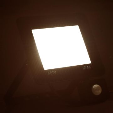 Faretto a LED con Sensore 50 W Bianco Caldo
