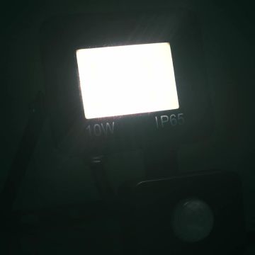Faretto a LED con Sensore 10 W Bianco Freddo