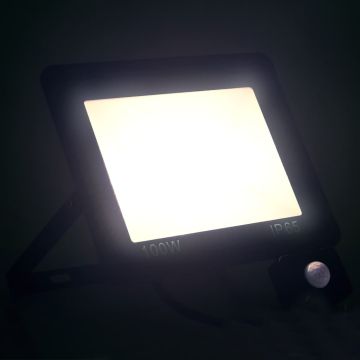 Faretto a LED con Sensore 100 W Bianco Freddo