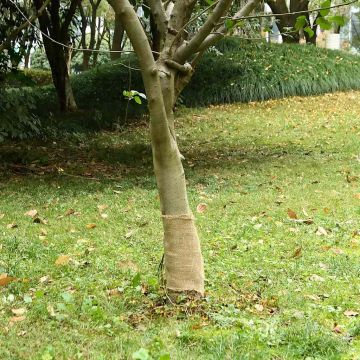 Rotolo in Iuta 0,25x15 m 100% Iuta 200 gsm