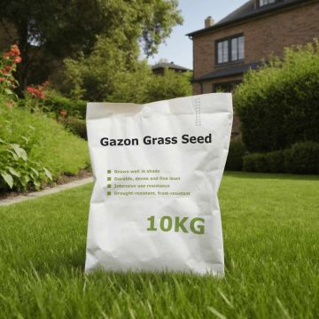 Semi di Erba per Prato 10 kg