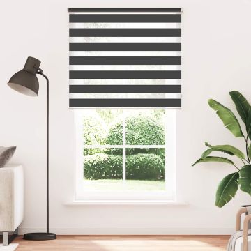 Tenda a rullo zebra 120,9x230 cm Tessuto Larghezza 116,7 cm nero