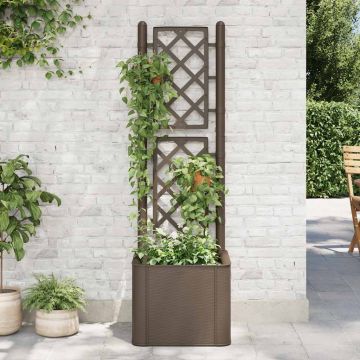 Letto Rialzato da Giardino con Graticcio e Irrigazione Moca