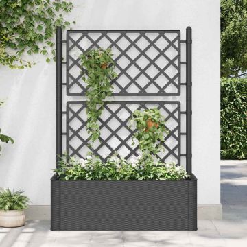 Letto Rialzato da Giardino Graticcio e Irrigazione Antracite