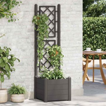 Fioriera da Giardino con Graticcio 43x43x142 cm PP Antracite