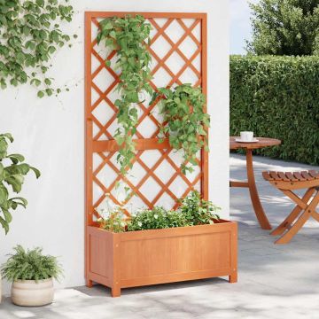 Fioriera con Traliccio Marrone 70x30x135 cm in Massello di Abete