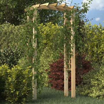 Arco a Traliccio 110x60x210 cm in Pino Massello Impregnato