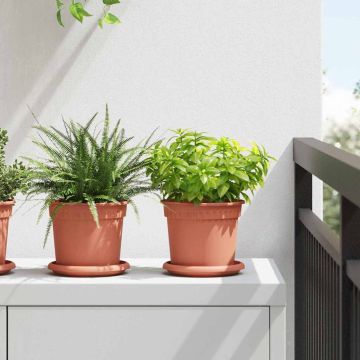 Vasi per Piante 6 pz Rosso Mattone Plastica