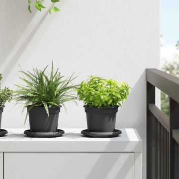 Vasi per Piante 6 pz Nero Plastica