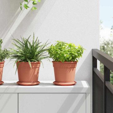 Vasi per Piante 24 pz Rosso Mattone Plastica