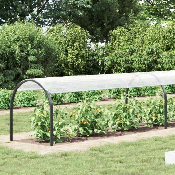 Copertura per Piante Trasparente 6 x 1,5 m PE