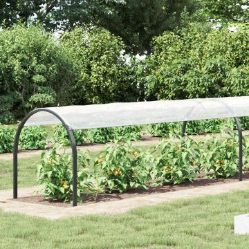 Copertura per Piante Trasparente 20 x 1,5 m PE