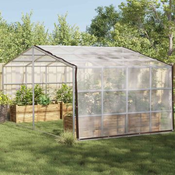 Copertura per Piante Trasparente 2 x 12 m PE