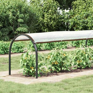Copertura per Piante Trasparente 20 x 1,5 m PE