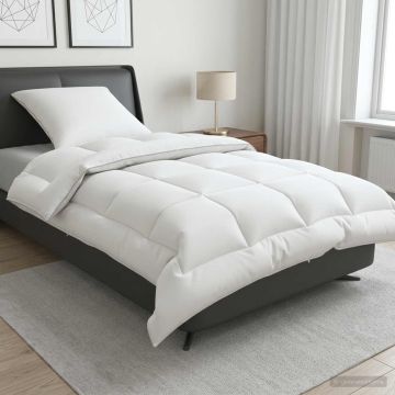 Set di piumone e cuscini 2 pz 140x200 cm 4 stagioni 220 GSM