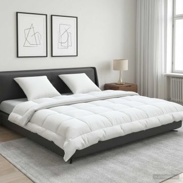 Set di piumone e cuscini 3 pz 220x240 cm Estate 140 GSM Lana