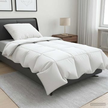Set di piumoni in piume d’oca al 90% FULDA 2 pz 140 x 200 cm