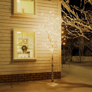 Betulla con LED Bianco Caldo 240 LED 300 cm