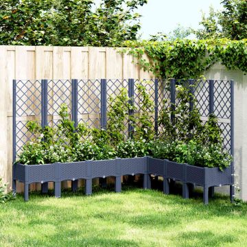 Fioriera Giardino con Traliccio Grigio Blu 200x160x142 cm PP