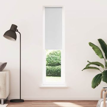 Tenda a Rullo Oscurante 60x230 cm Larghezza Tessuto 55,7 cm