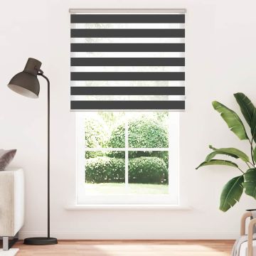 Tenda a Rullo Zebra Nero Larghezza Tessuto 120,9 cm Poliestere