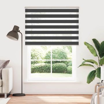 Tenda a Rullo Zebra Nero Larghezza Tessuto 160,9 cm Poliestere