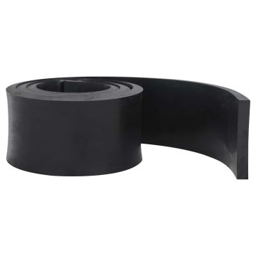 Bordo in Gomma per Spazzaneve Nero 250x15x2 cm