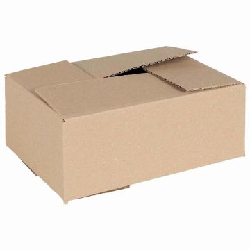 Scatola Pieghevole 50 pz Naturale 25 x 17,5 x 10 cm Cartone