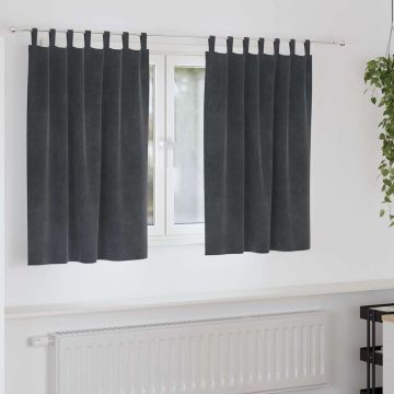 Tende 2 pz Grigio Chiaro 140 x 140 cm Velluto