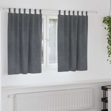Tende 2 pz Grigio Chiaro 140 x 140 cm Velluto