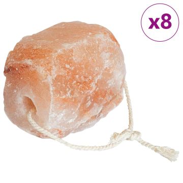 Pietre di Sale da Leccare 8 pz Rosa Sale Rock