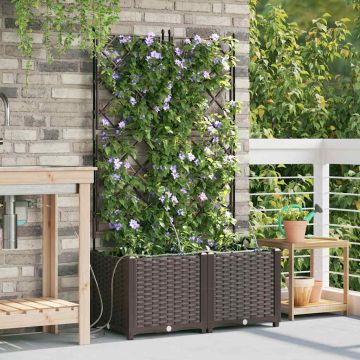 Vaso da giardino 2 pz Marrone 80 x 40 x 142 cm PP