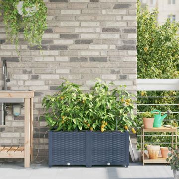 Vaso da giardino 2 pz Grigio 80 x 40 x 37,5 cm PP