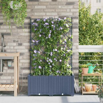 Vaso da giardino 2 pz Grigio 80 x 40 x 142 cm PP