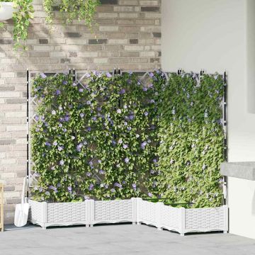 Vaso da giardino 5 pz Bianco 120 x 120 x 125,5 cm PP