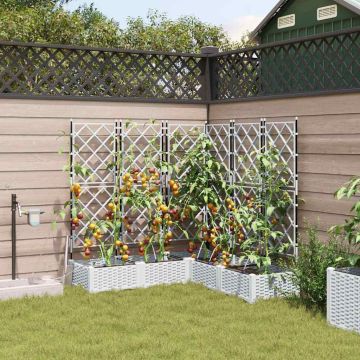 Vaso da giardino 5 pz Bianco 120 x 120 x 126 cm PP
